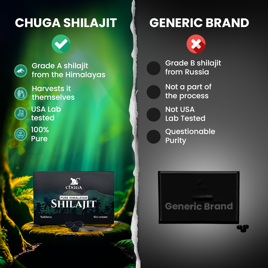 Shilajit Tablets