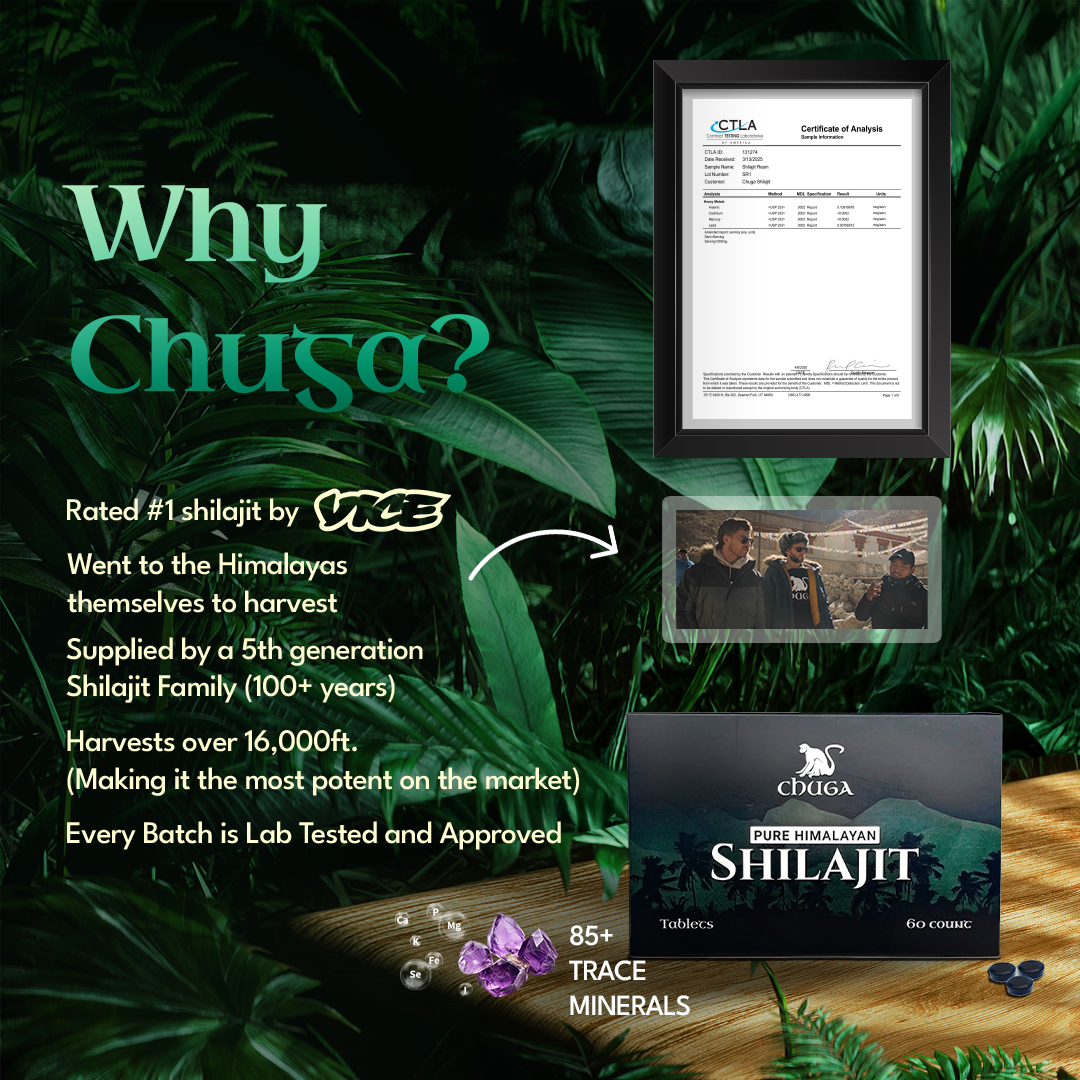 Shilajit Tablets