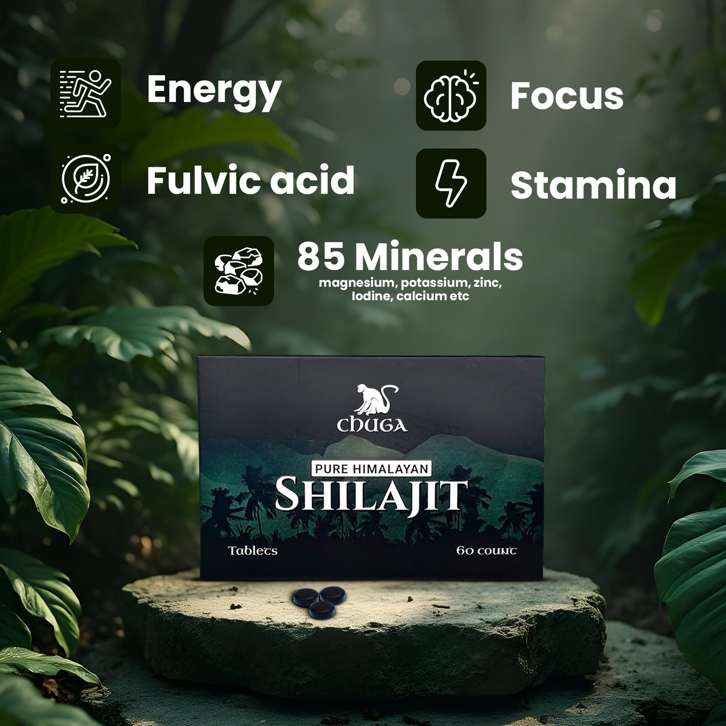 Shilajit Tablets