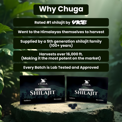 Shilajit Tablets