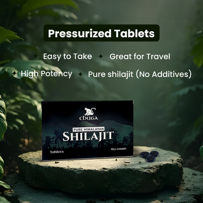 Shilajit Tablets