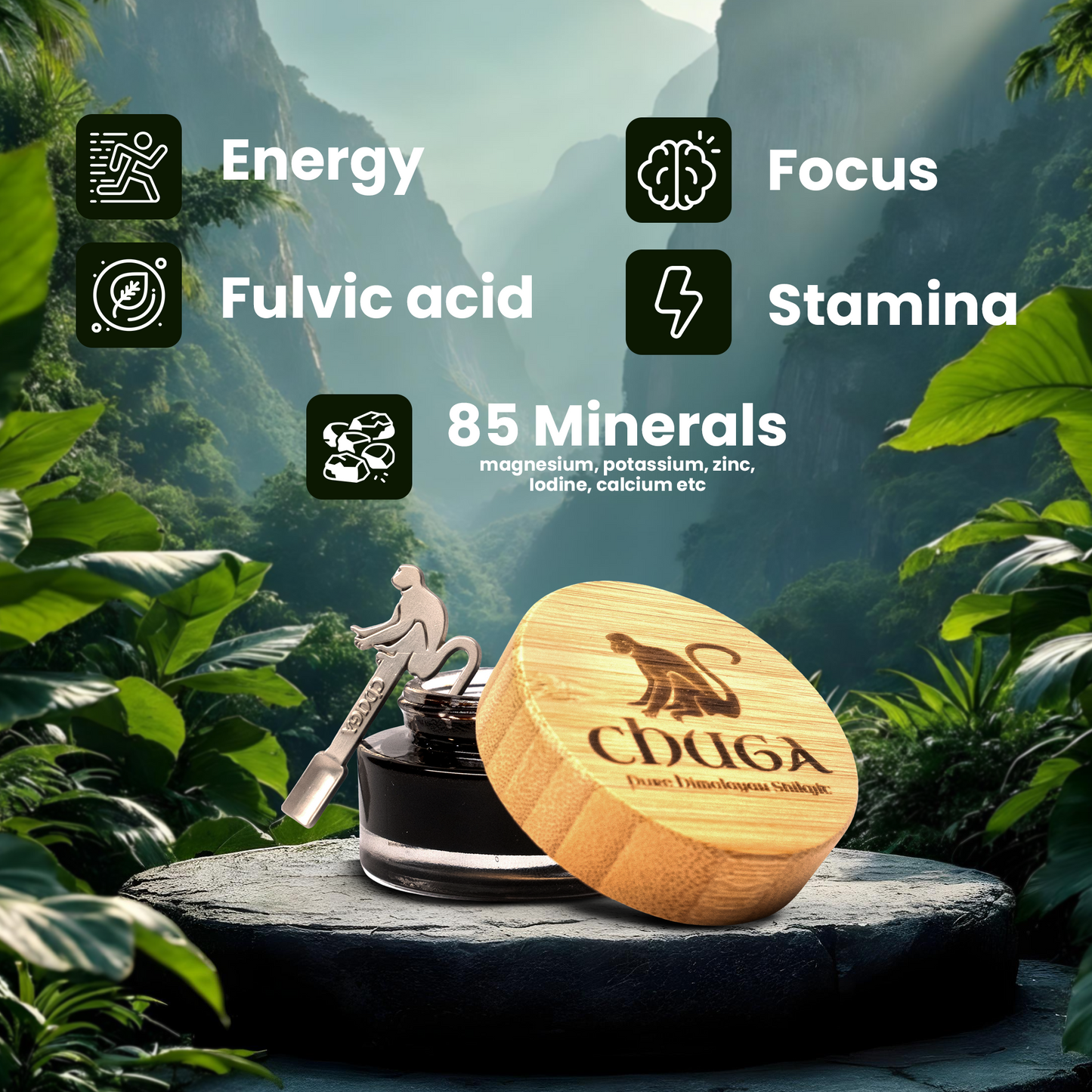 Pure Himalayan Shilajit