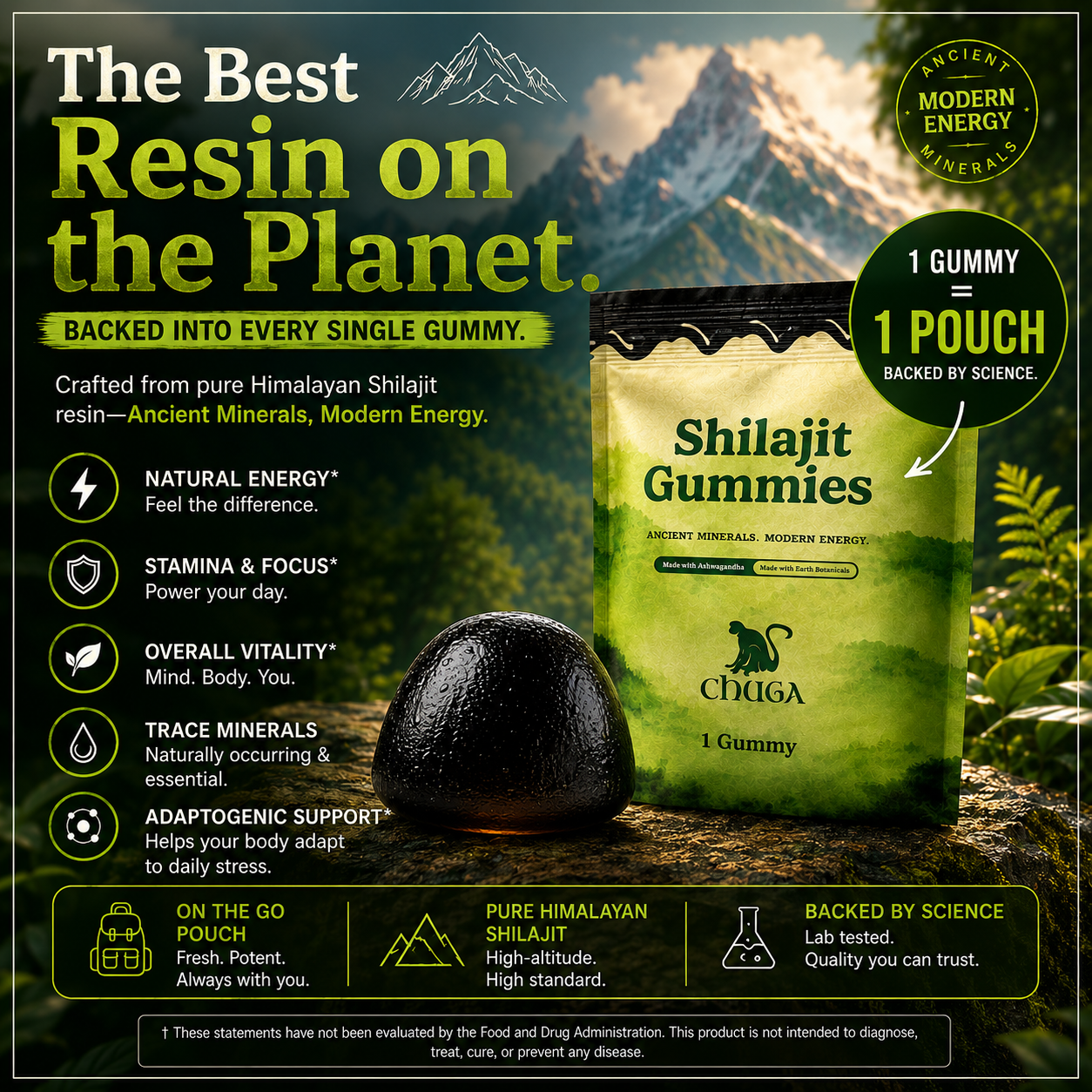 Shilajit Gummies