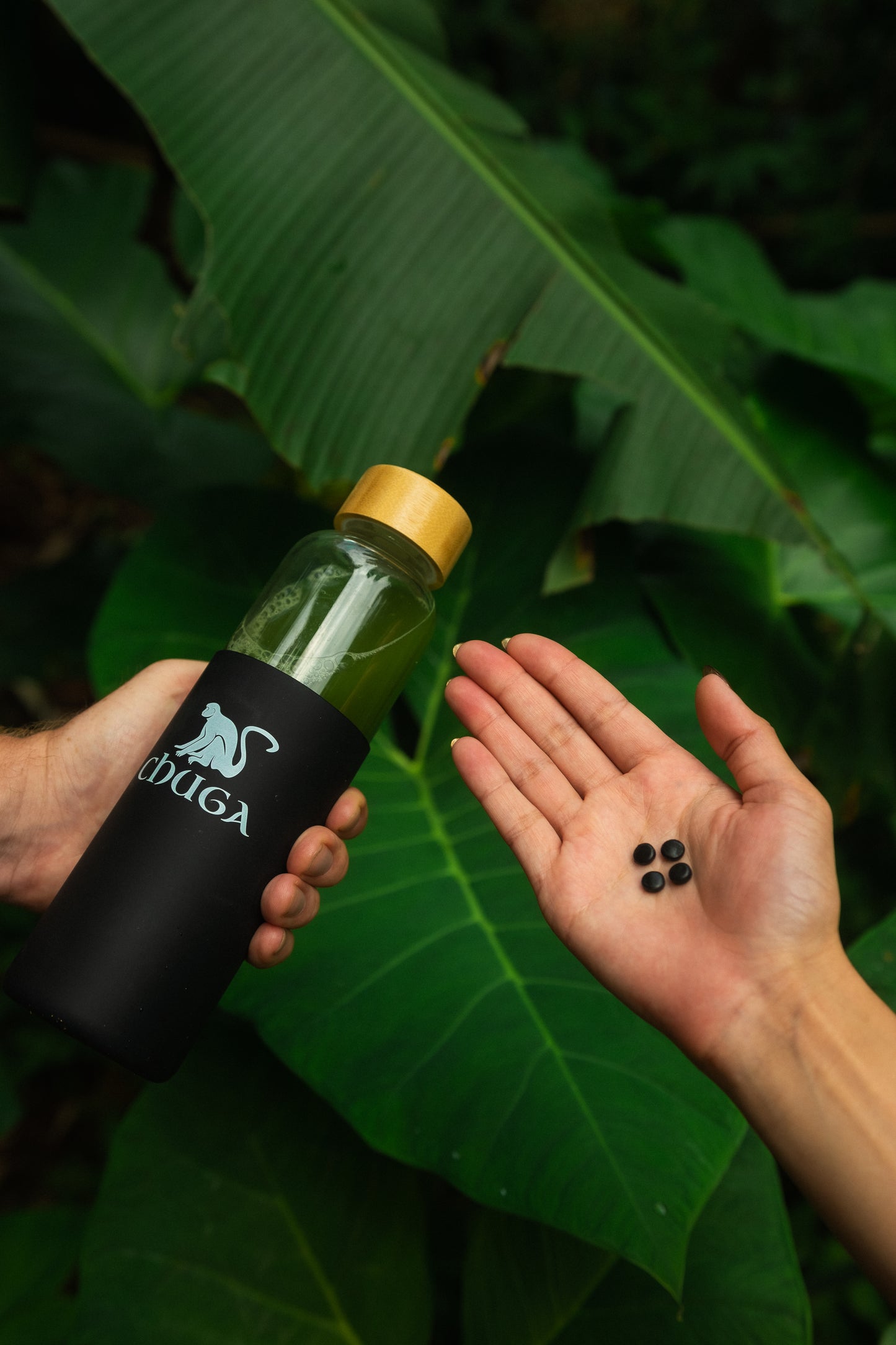 ShilaGreens Advanced Absorption Protocol